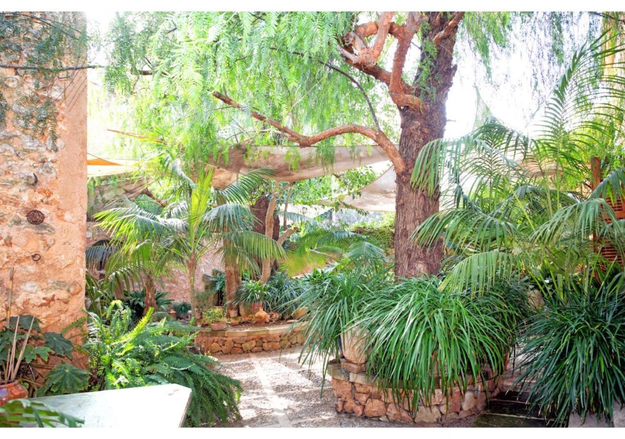 Casal De Gaieta Adults Landhaus